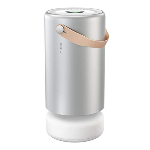 Molekule Air Pro FDA-Cleared Medical Air Purifier with PECO Technology for Smoke, Allergens, Pollutants, Viruses, Bacteria and Mold in Professional Spaces