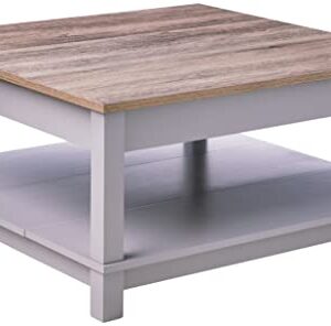 Ameriwood Home Carver Coffee Table, Gray