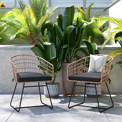 Flash Furniture Devon Set of 2 Indoor/Outdoor Patio Boho Club Chairs, Rope with PE Wicker Rattan, Cushions and Sled Base, Natural/Black
