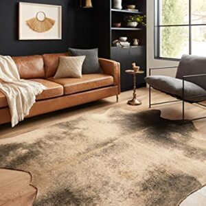 Loloi II Grand Canyon Collection GC-13 Beige/ASH, Transitional 3'-10" x 5' Accent Rug